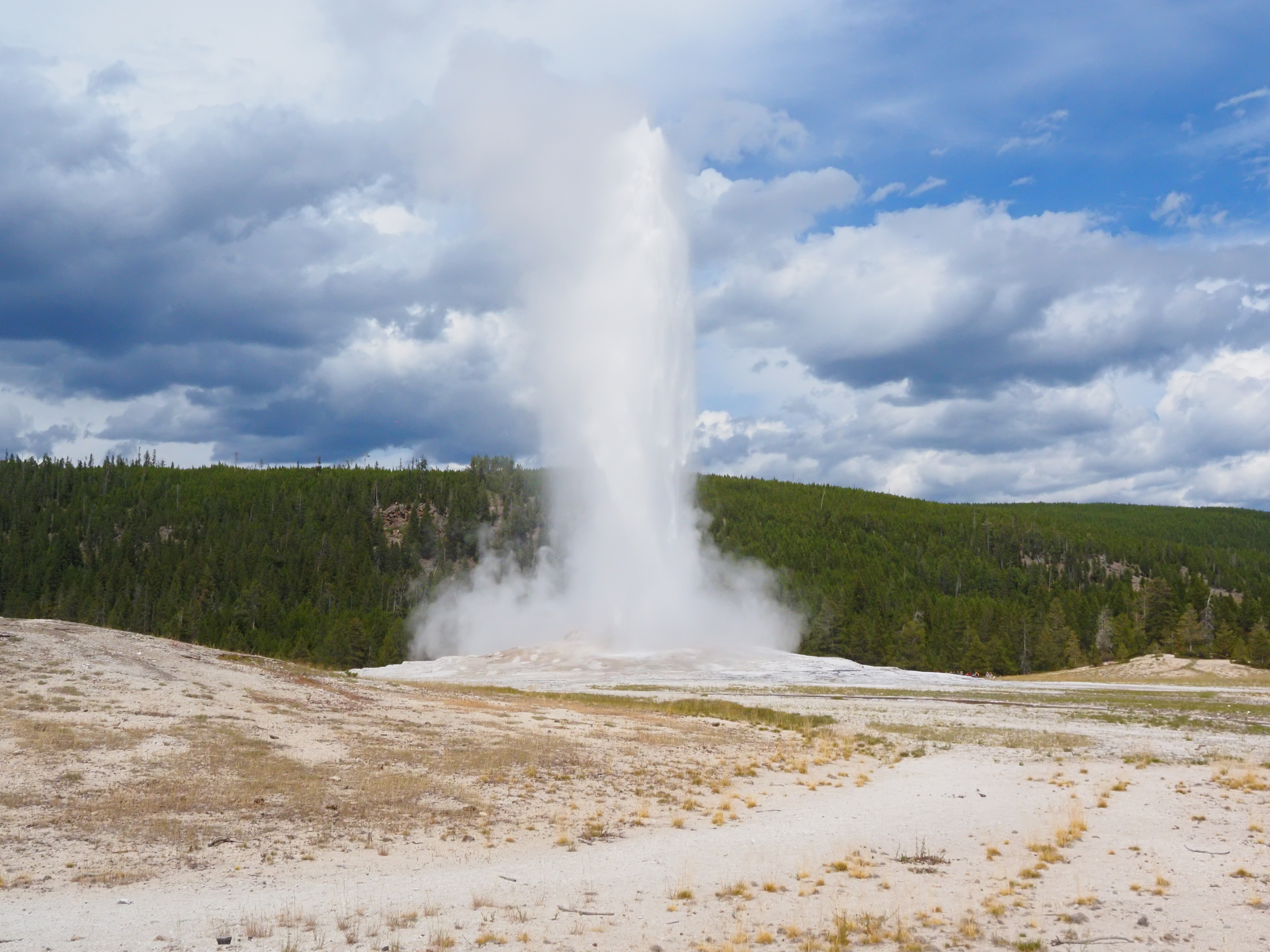 Old Faithful